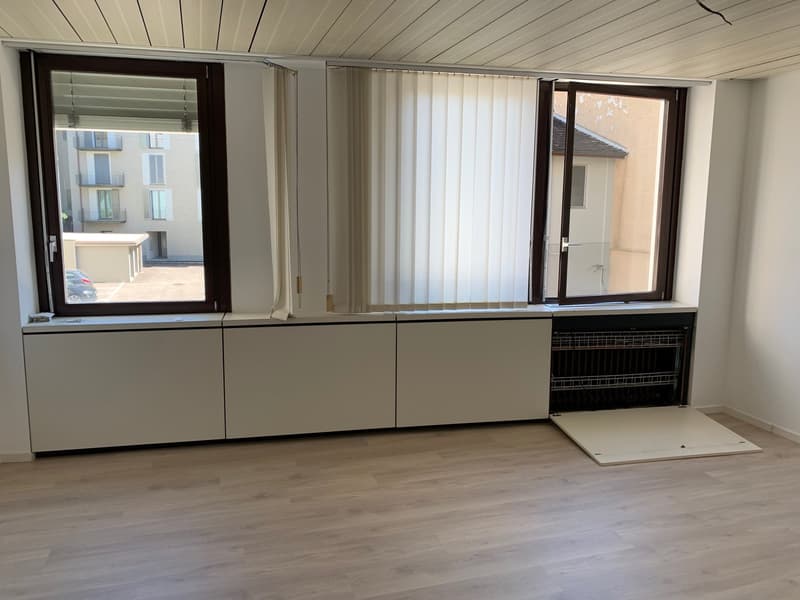 Office Building for Income, Possible Purchase for Non-Resident Foreign Citizens in Switzerland (4)