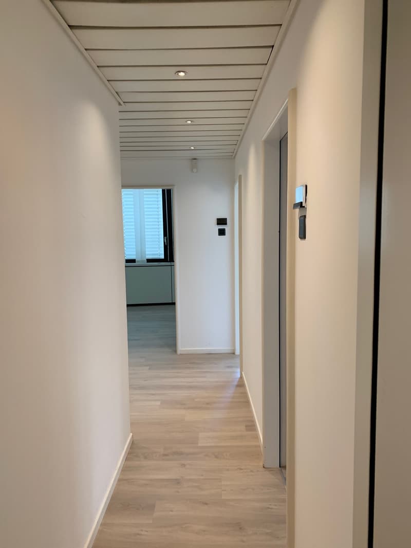 Office Building for Income, Possible Purchase for Non-Resident Foreign Citizens in Switzerland (8)