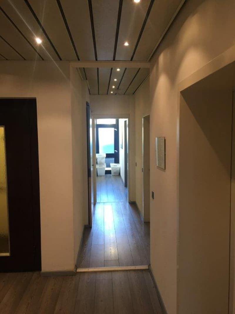 Office Building for Income, Possible Purchase for Non-Resident Foreign Citizens in Switzerland (17)