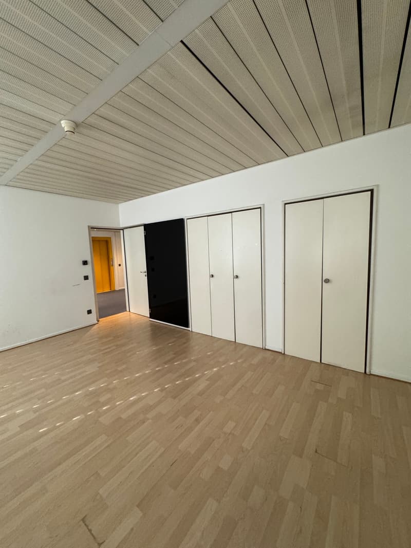 Office Building for Income, Possible Purchase for Non-Resident Foreign Citizens in Switzerland (23)