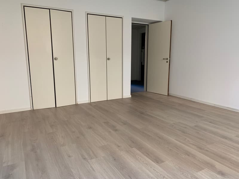 Office Building for Income, Possible Purchase for Non-Resident Foreign Citizens in Switzerland (13)