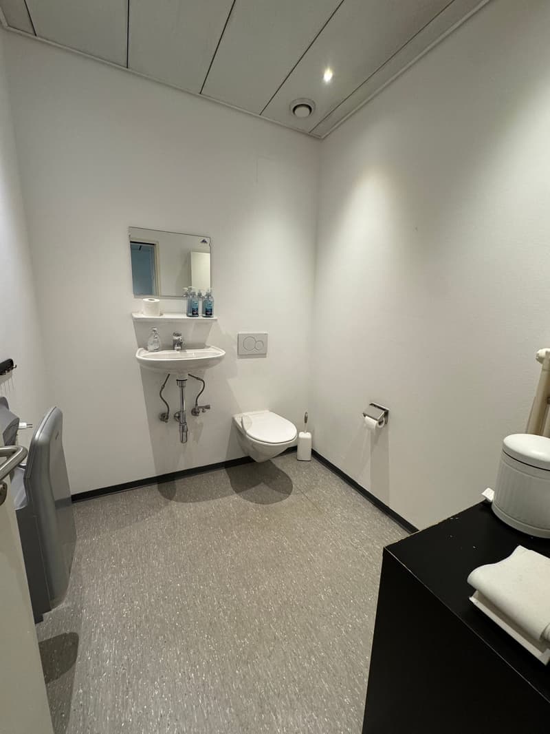 Office Building for Income, Possible Purchase for Non-Resident Foreign Citizens in Switzerland (18)