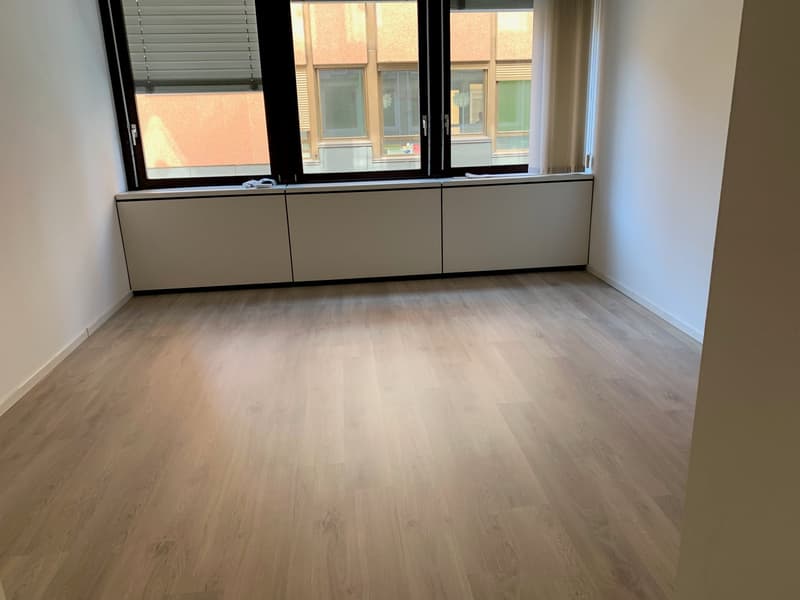Office Building for Income, Possible Purchase for Non-Resident Foreign Citizens in Switzerland (6)