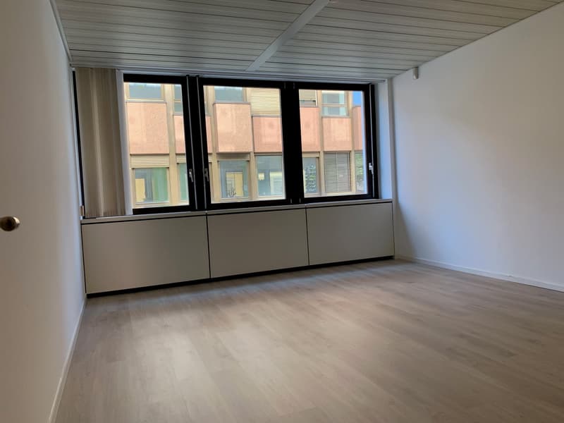 Office Building for Income, Possible Purchase for Non-Resident Foreign Citizens in Switzerland (9)