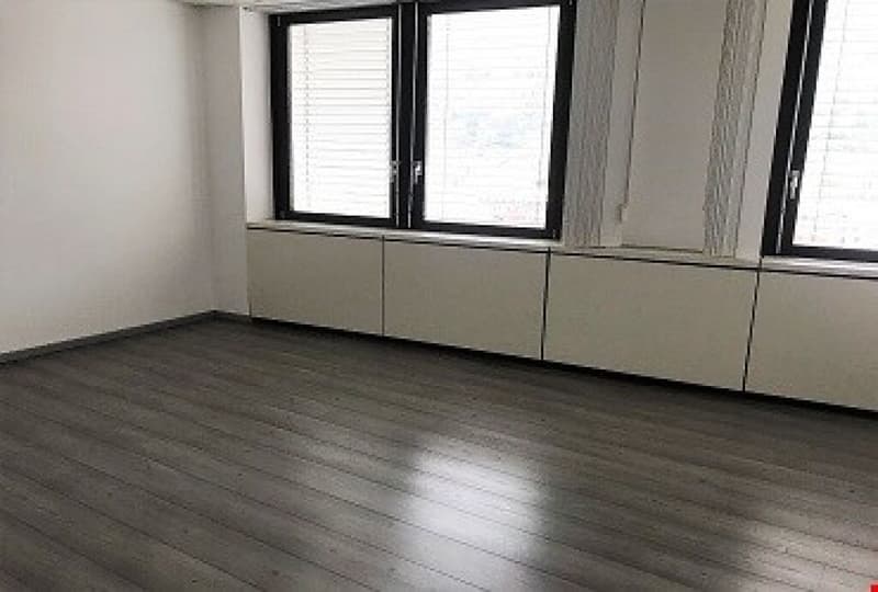 Office Building for Income, Possible Purchase for Non-Resident Foreign Citizens in Switzerland (27)