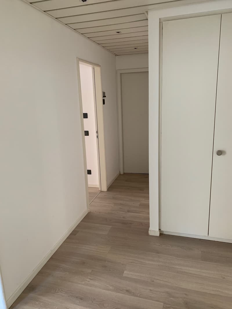 Office Building for Income, Possible Purchase for Non-Resident Foreign Citizens in Switzerland (10)