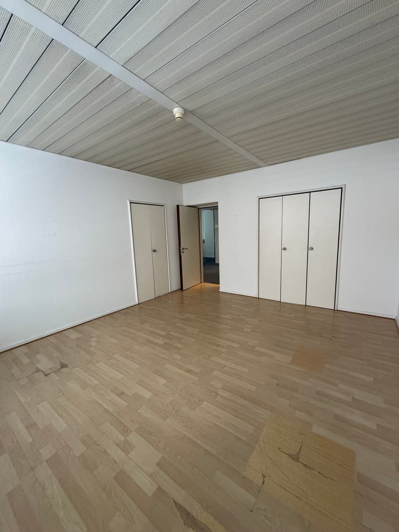 Office Building for Income, Possible Purchase for Non-Resident Foreign Citizens in Switzerland (22)