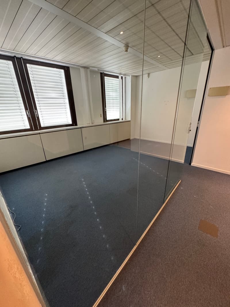 Office Building for Income, Possible Purchase for Non-Resident Foreign Citizens in Switzerland (25)