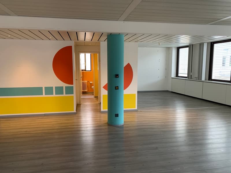 Office Building for Income, Possible Purchase for Non-Resident Foreign Citizens in Switzerland (29)
