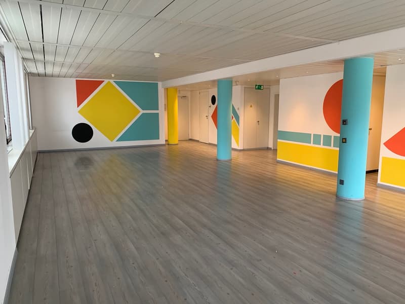 Office Building for Income, Possible Purchase for Non-Resident Foreign Citizens in Switzerland (33)