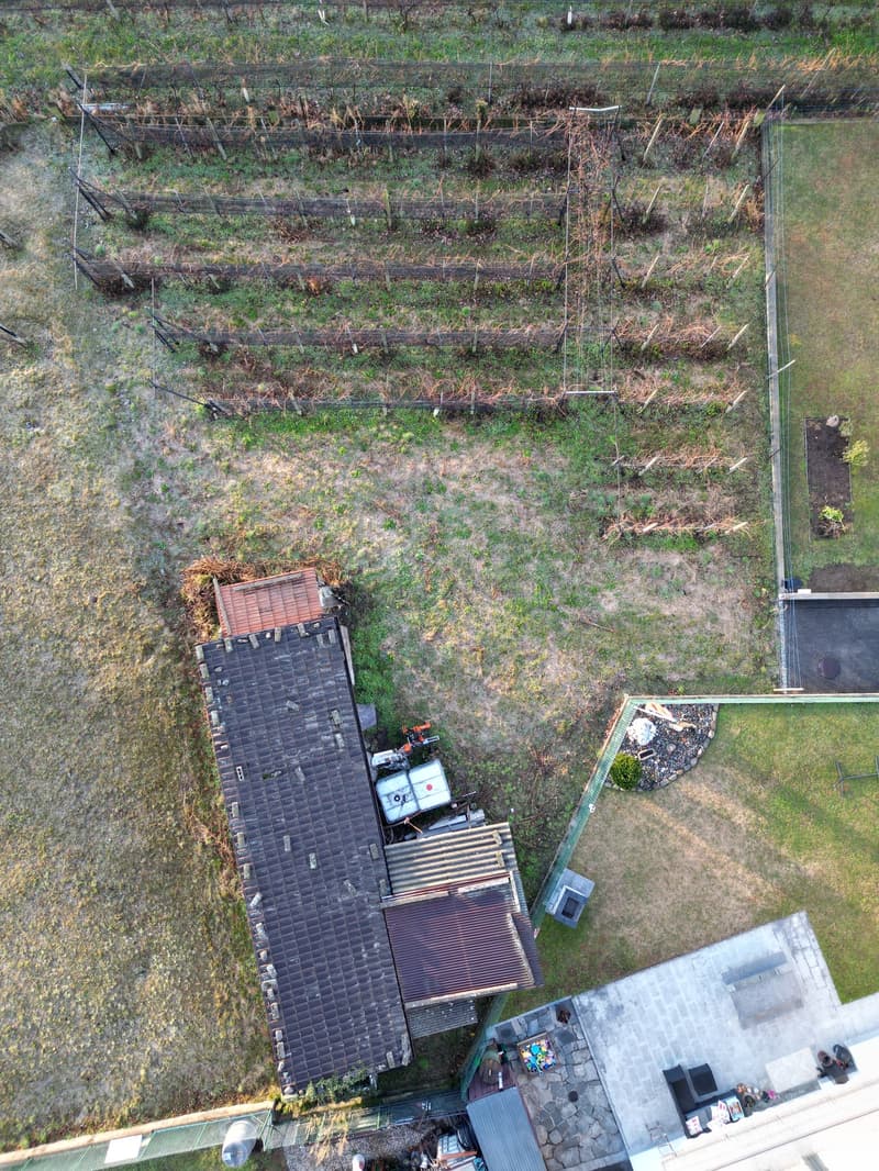 TERRENO EDIFICABILE A CASTEL SAN PIETRO CON PROGETTO APPROVATO – IL TUO SOGNO DI CASA MODERNA (15)