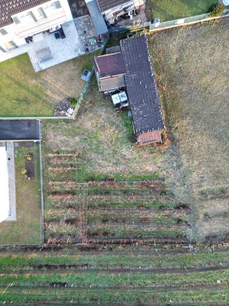 TERRENO EDIFICABILE A CASTEL SAN PIETRO CON PROGETTO APPROVATO – IL TUO SOGNO DI CASA MODERNA (14)