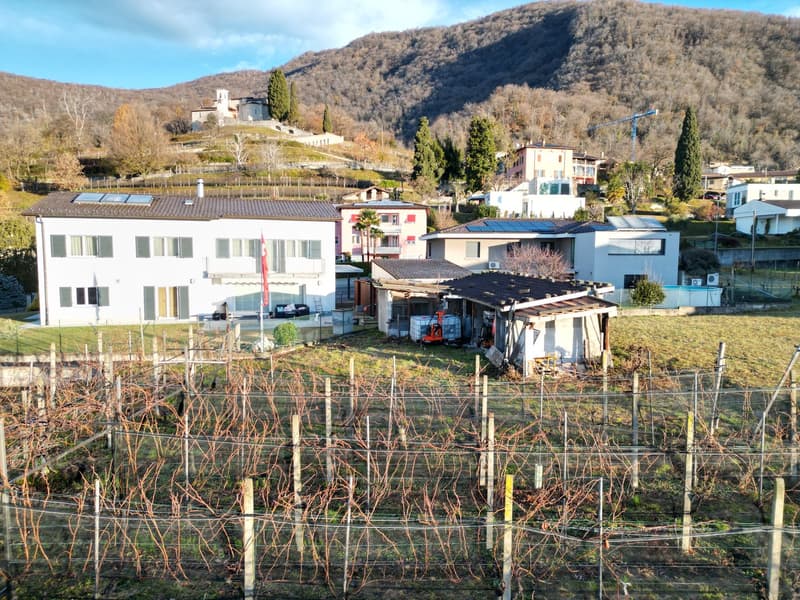 TERRENO EDIFICABILE A CASTEL SAN PIETRO CON PROGETTO APPROVATO – IL TUO SOGNO DI CASA MODERNA (19)