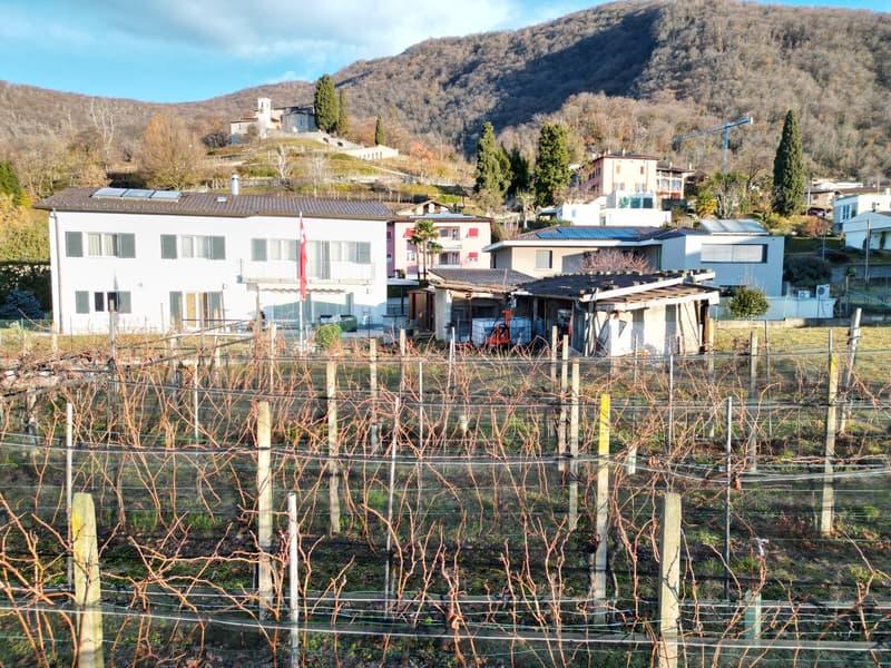 TERRENO EDIFICABILE A CASTEL SAN PIETRO CON PROGETTO APPROVATO – IL TUO SOGNO DI CASA MODERNA (10)