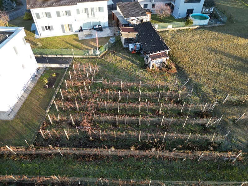 TERRENO EDIFICABILE A CASTEL SAN PIETRO CON PROGETTO APPROVATO – IL TUO SOGNO DI CASA MODERNA (18)