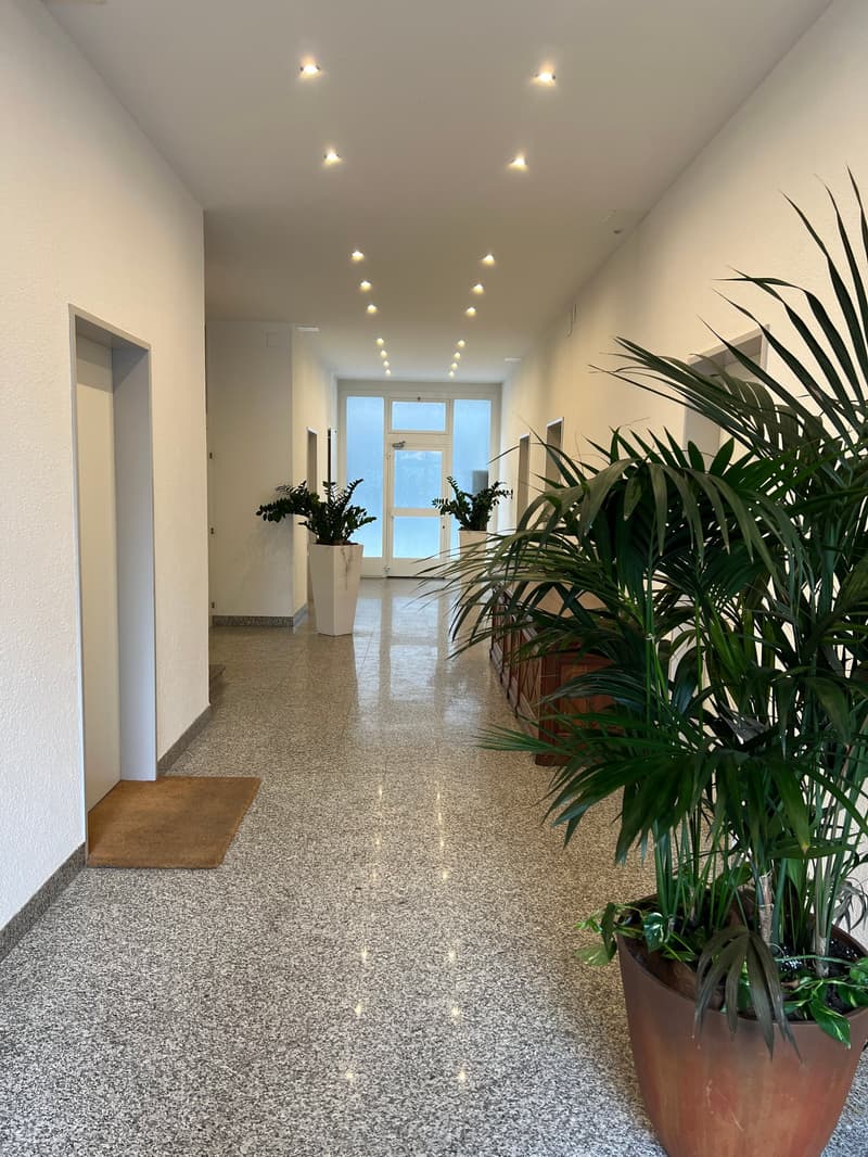 Chiasso, elegantes und neuwertiges Büro mit überdachtem Parkplatz (1)