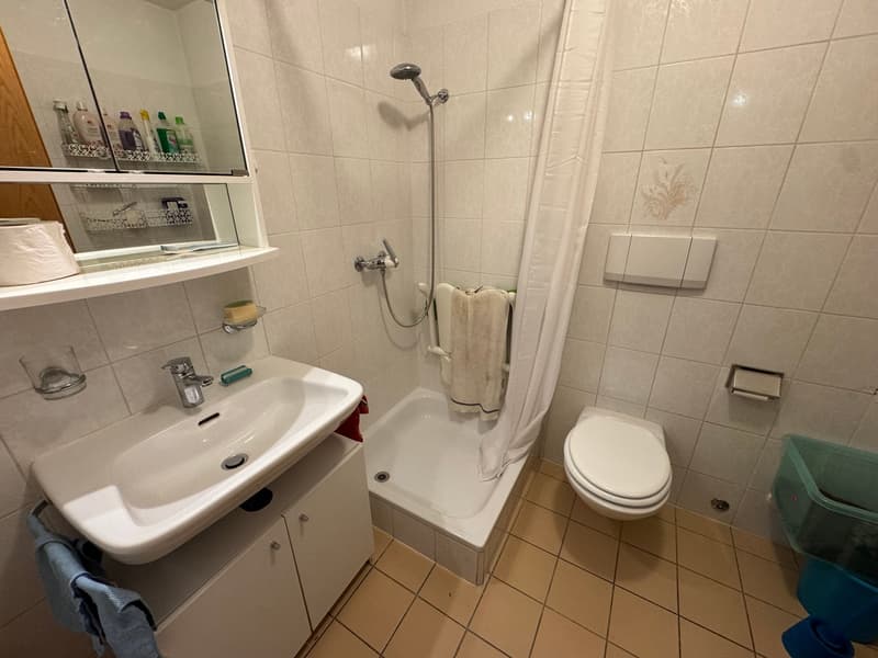 Duplex zur Miete mit 2 Zimmern und Studio – Cadro (12)