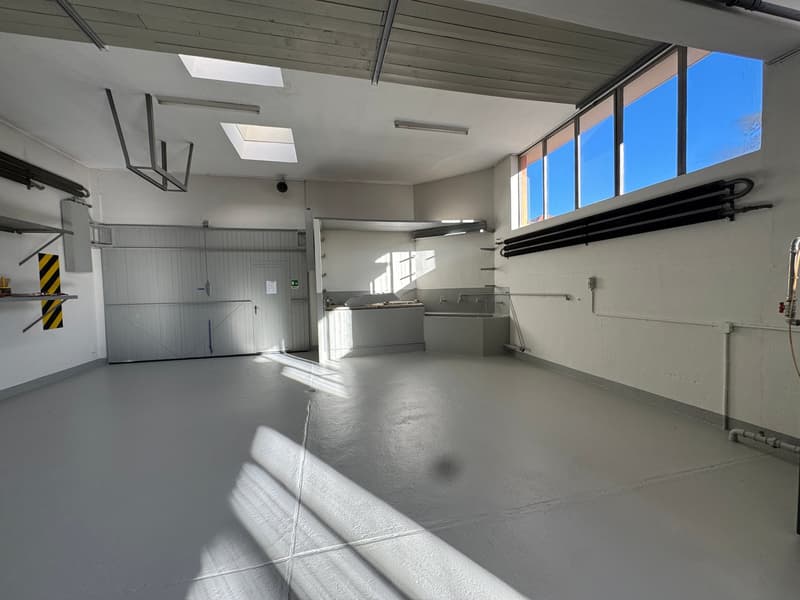 spacious garage with a roll up door, utility area, and windows with skylights