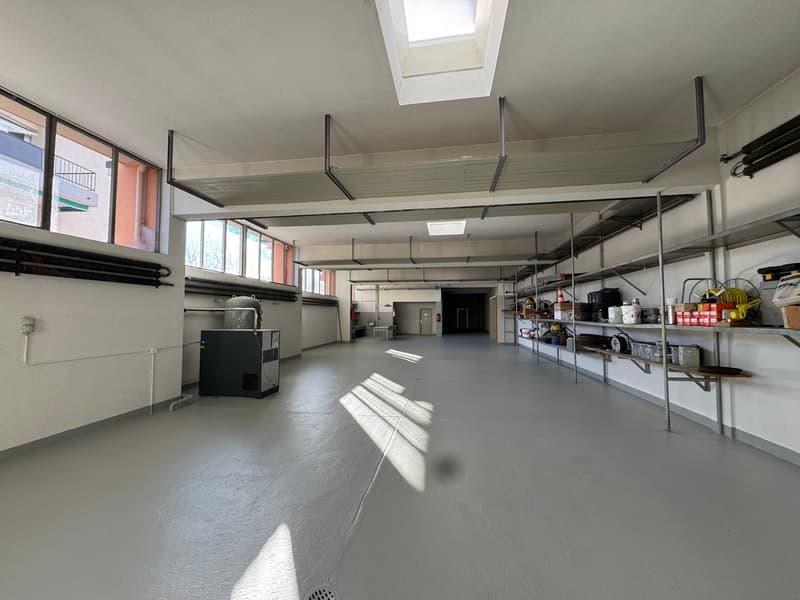Wide, empty room with grey cement floor, tall windows, and tall metal shelves on one wall.