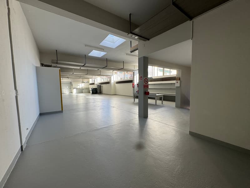Vendesi o Affittasi Immobile Artigianale / commerciale / amministrativo con Uffici a Balerna (24)