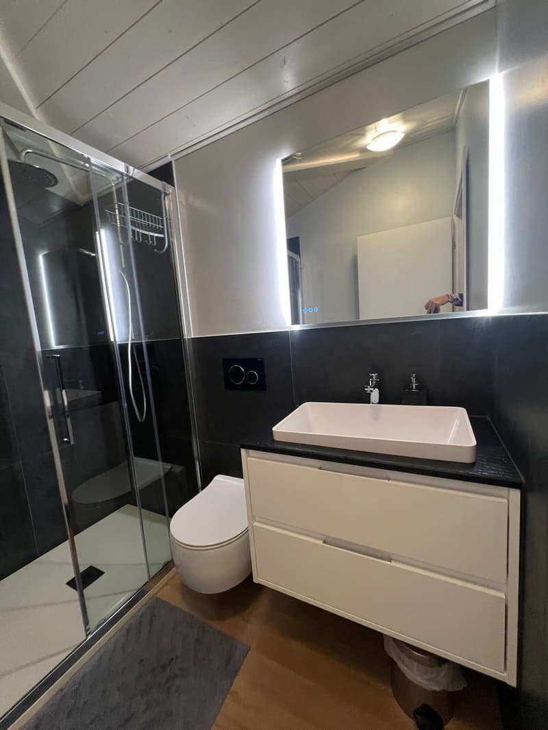 Zentrale Riva San Vitale UND SEEBLICK, DACHGESCHOSS in perfektem Zustand (21)