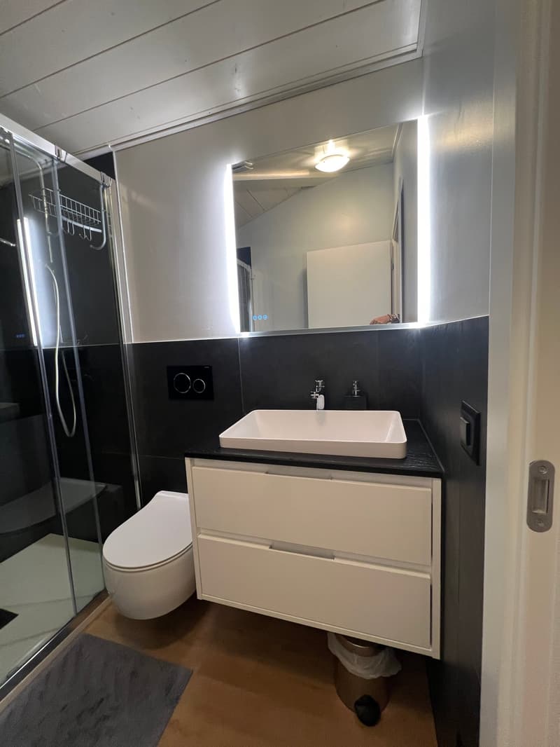modern bathroom with white toilet, white sink, black tiles, glass shower, white cabinet, mirror
