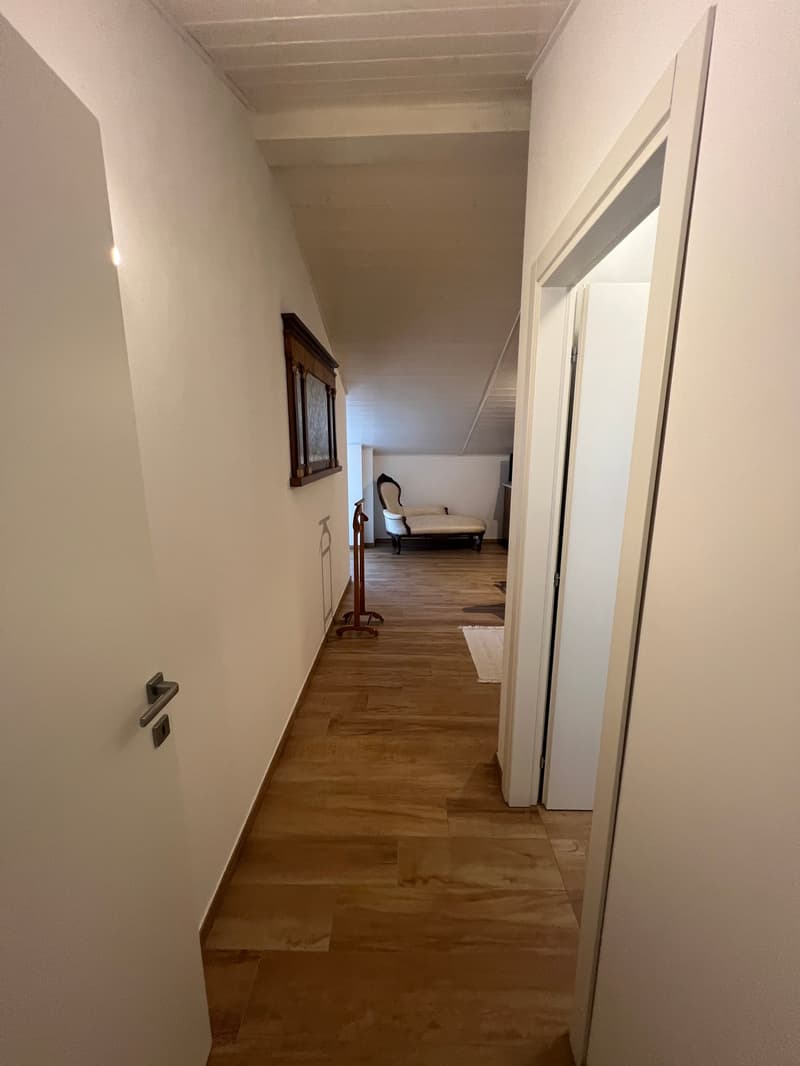 Zentrale Riva San Vitale UND SEEBLICK, DACHGESCHOSS in perfektem Zustand (15)