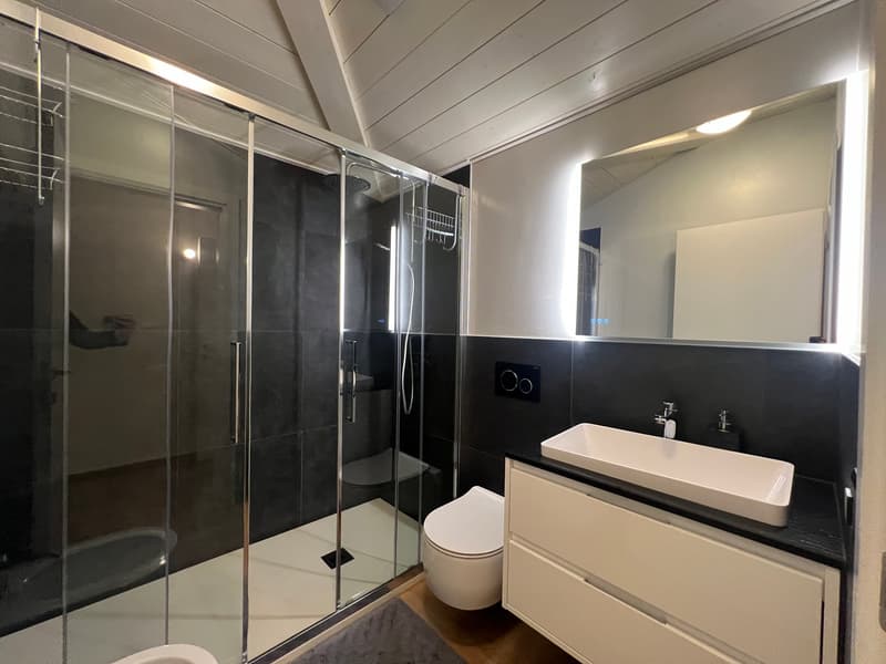 Zentrale Riva San Vitale UND SEEBLICK, DACHGESCHOSS in perfektem Zustand (22)