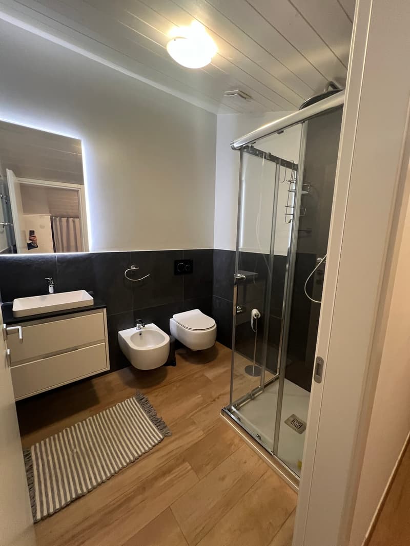 Zentrale Riva San Vitale UND SEEBLICK, DACHGESCHOSS in perfektem Zustand (41)