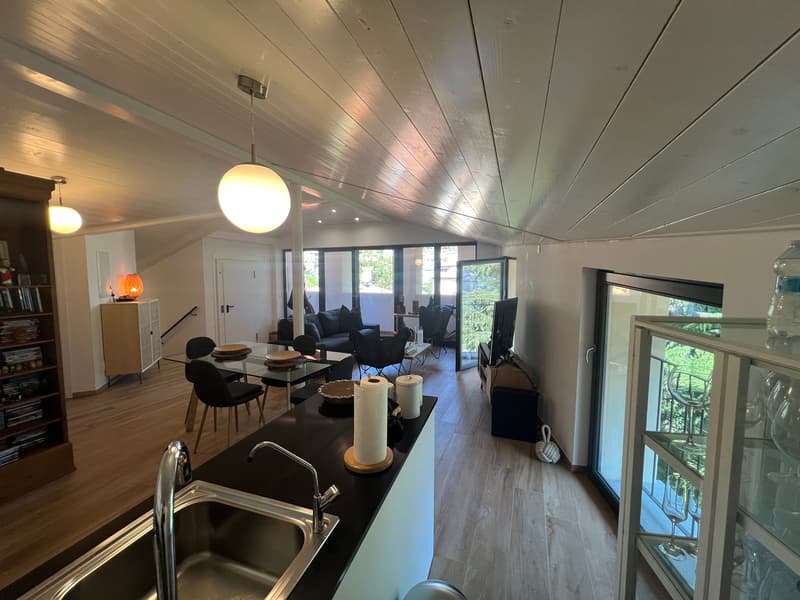 Open plan living and kitchen area, wooden floor, large windows, dining table, couch, TV, kitchen sink, wooden cabinet, shelves, lamps
