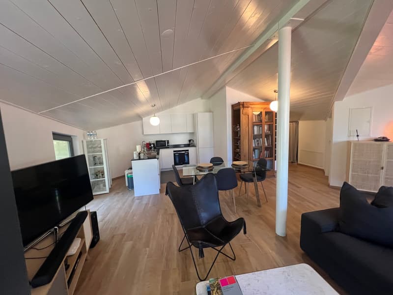 Zentrale Riva San Vitale UND SEEBLICK, DACHGESCHOSS in perfektem Zustand (25)