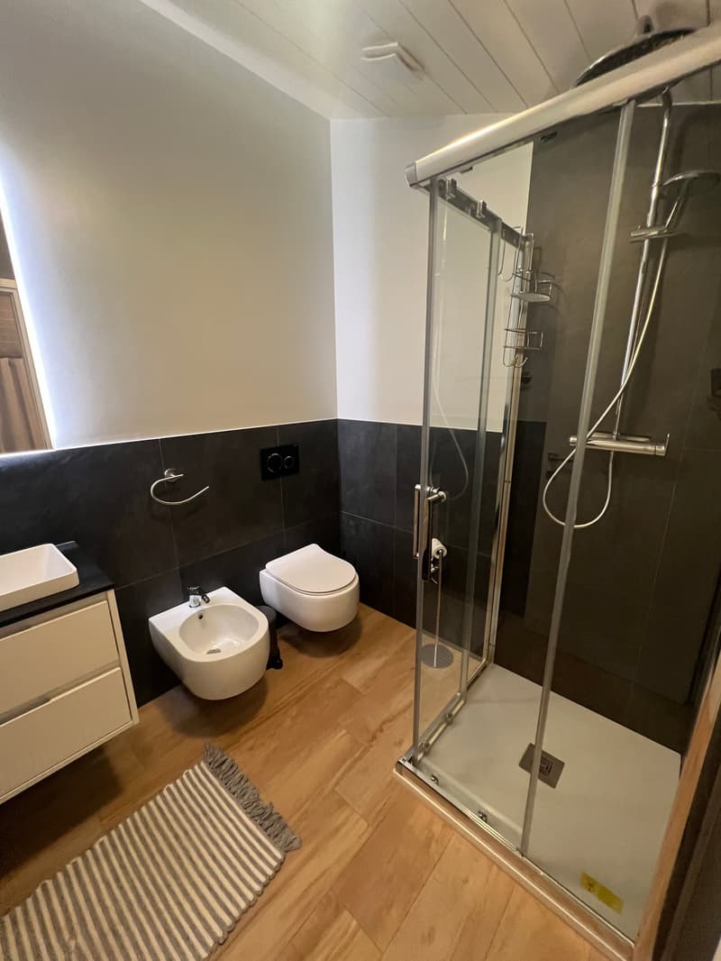 Zentrale Riva San Vitale UND SEEBLICK, DACHGESCHOSS in perfektem Zustand (20)