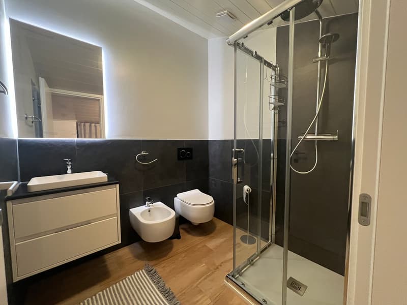 Zentrale Riva San Vitale UND SEEBLICK, DACHGESCHOSS in perfektem Zustand (37)