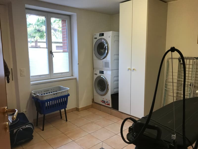 Caslano – Moderne Villa mit Pool, Garten und separatem Einzelapartment (16)