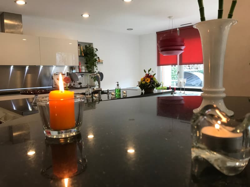 Caslano – Moderne Villa mit Pool, Garten und separatem Einzelapartment (6)