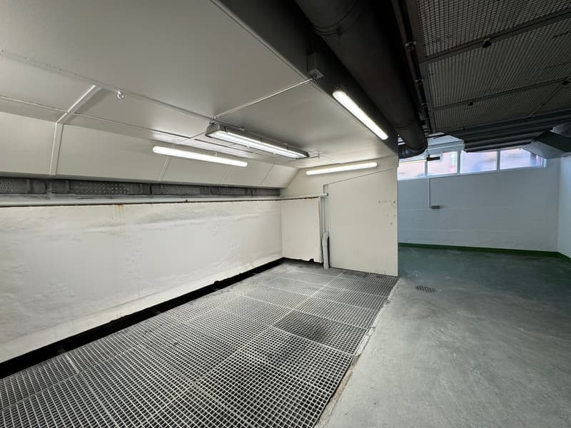 Sale or Rent of Industrial/Commercial/Administrative Property with Offices in Balerna (24)