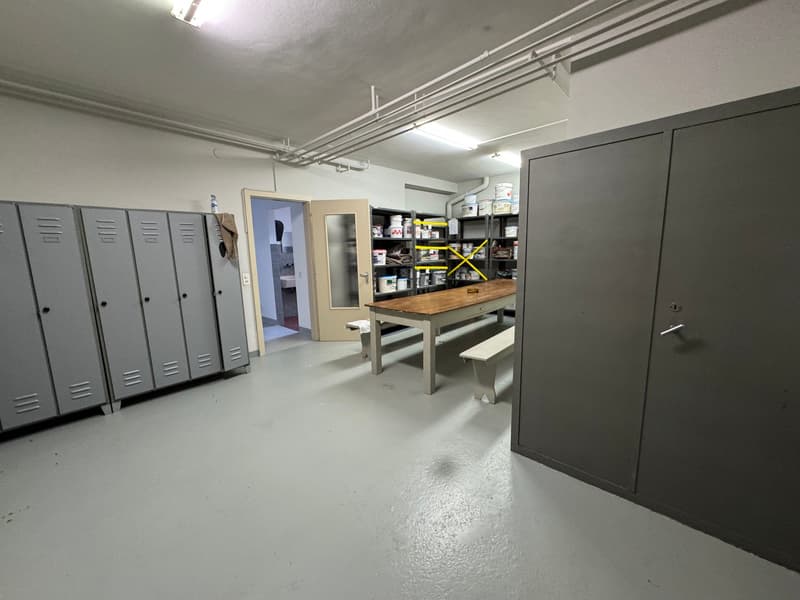 Sale or Rent of Industrial/Commercial/Administrative Property with Offices in Balerna (10)