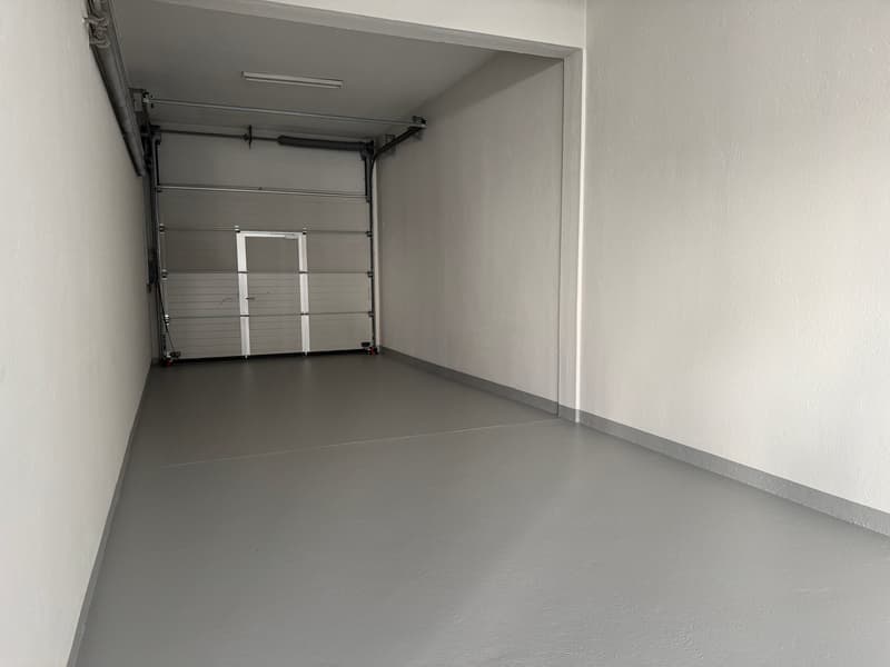 Sale or Rent of Industrial/Commercial/Administrative Property with Offices in Balerna (28)