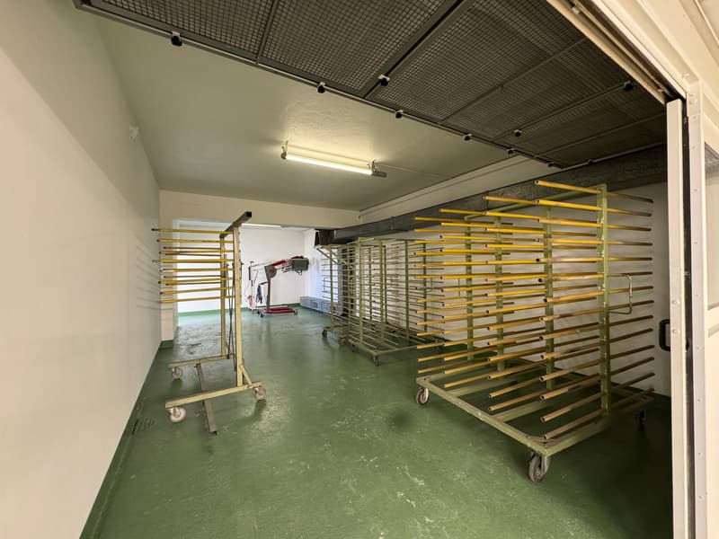Sale or Rent of Industrial/Commercial/Administrative Property with Offices in Balerna (29)