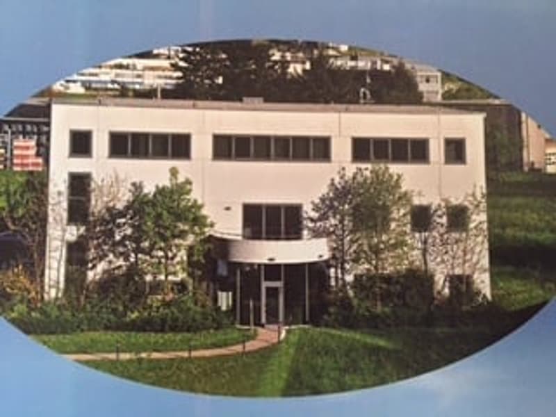 Schöne Büro-/Laborgebäude mit 1'800 m² und Grundstück von 2'800 m² (1)