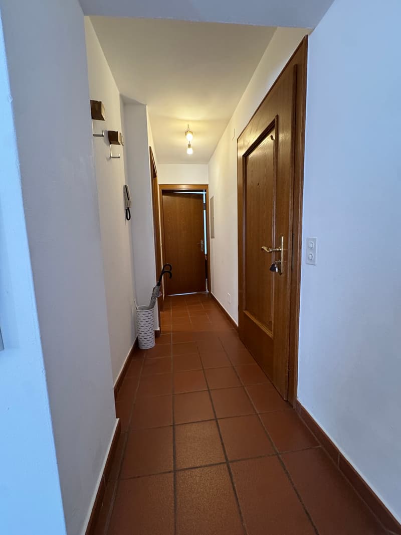 Appartement charmant de 2.5 pièces au cœur de Vezia dans une maison historique (11)