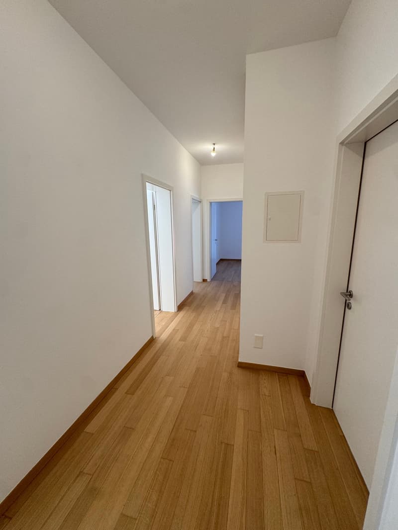 Wohnen am See: Raffinierte 4.5 Zimmer vollständig renoviert in Cassarate (4)