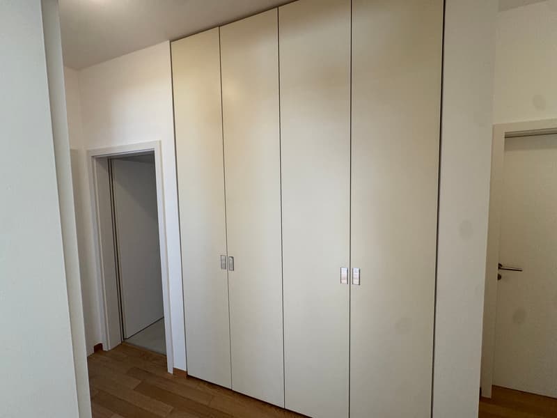 Wohnen am See: Raffinierte 4.5 Zimmer vollständig renoviert in Cassarate (5)
