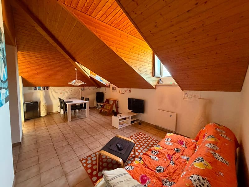 Bellinzona – Centralissimo 2.5 locali con ascensore e soffitti in legno a vista (2)