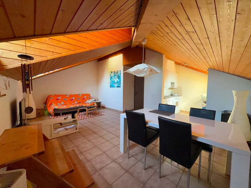 Bellinzona – Centralissimo 2.5 locali con ascensore e soffitti in legno a vista (3)