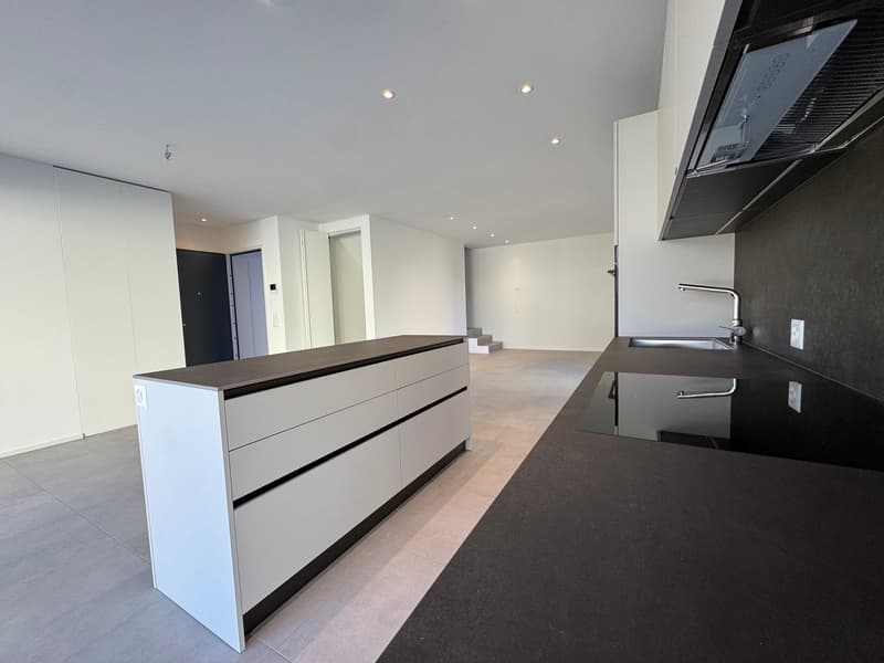 SUBITO ABITABILE - ULTIMA DISPONIBILITÀ - MODERNO DUPLEX CON GIARDINO PRIVATO (2)