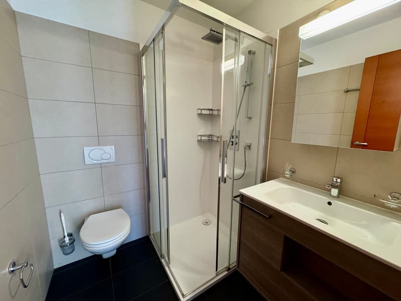 CADRO – ELEGANTE RESIDENZA CON GIARDINO PRIVATO, GARAGE DOPPIO E VISTA PANORAMICA (19)