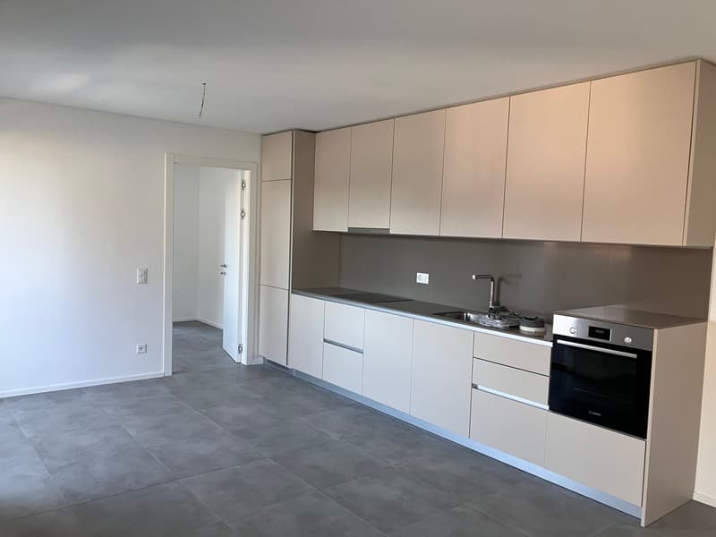 MENDRISIO – NUOVO 2½ LOCALI IN PRIMA LOCAZIONE CON TERRAZZA E POSTO AUTO (1)