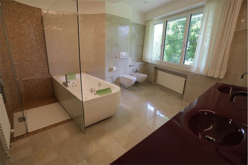 Villa avec piscine intérieure à Vezia (12)