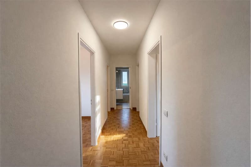 Appartamento 4 locali a Viganello (6)